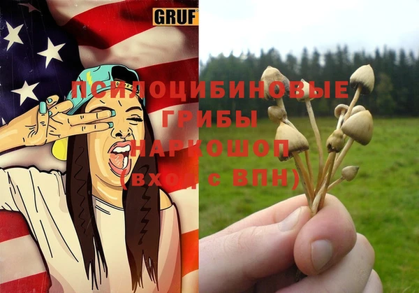 гидра Зеленокумск