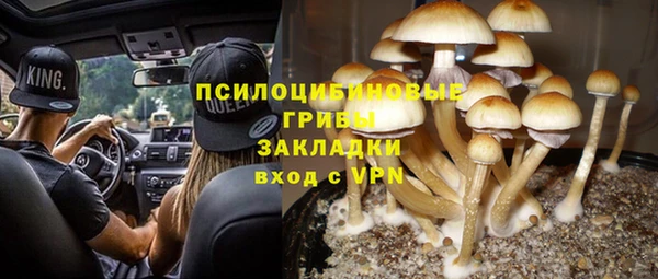 гидра Зеленокумск