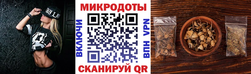 kraken онион  Карабулак  Псилоцибиновые грибы Psilocybe  наркота 
