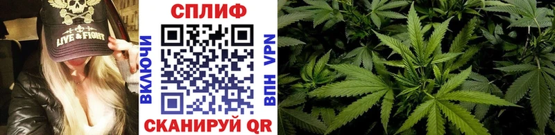 Канабис ГИДРОПОН MEGA ссылка даркнет официальный сайт где продают наркотики Карабулак